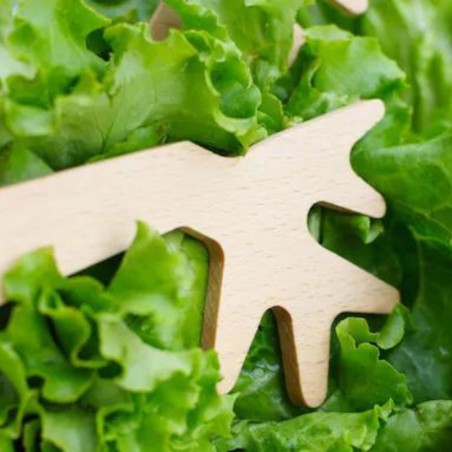 Reine Mère - Couverts à salade - Du bout des branches