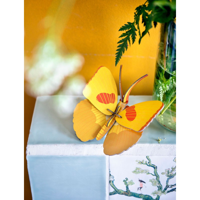 Décoration murale 3D – Studio ROOF | Carton recyclé & designs poétiques\n\n