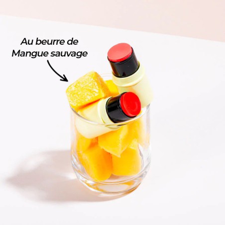 Fantastick L'Orangé Baume & Blush – Teint lumineux et frais