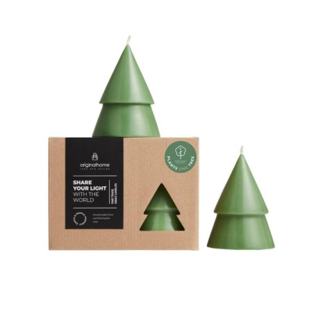 Duo de Bougies Sapin M Green - Naturelles & Artisanales | Original Home