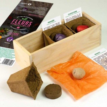 Resetea - Mini potager d'herbes aromatiques (coriandre, persil et basilic)