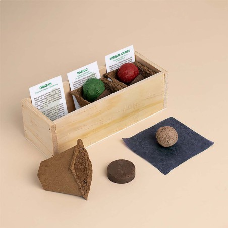 Resetea - Mini potager d'ingrédients pour les pizzas.