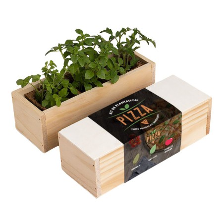 Resetea - Mini potager d'ingrédients pour les pizzas.