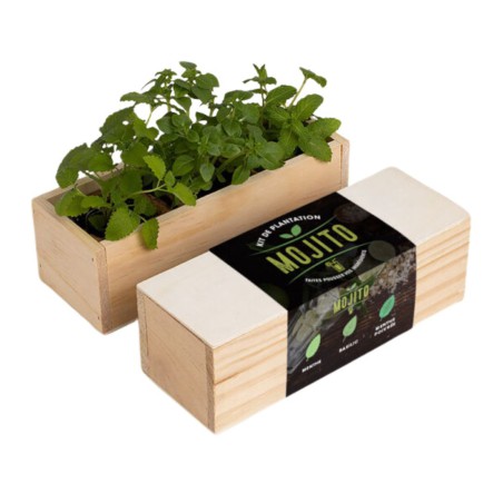 Resetea - Mini potager d'herbes pour mojito