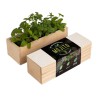 Resetea - Mini potager d'herbes pour mojito