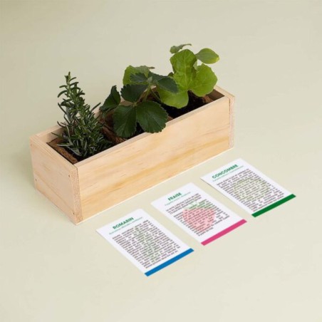 Resetea - Mini potager d'ingrédients pour agrémenter les Gin Tonics