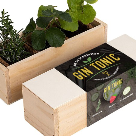 Resetea - Mini potager d'ingrédients pour agrémenter les Gin Tonics