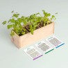 Resetea - Mini potager d'herbes aromatiques (coriandre, persil et basilic)