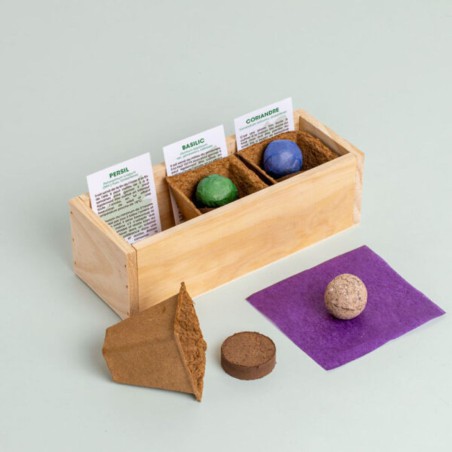 Resetea - Mini potager de tomates