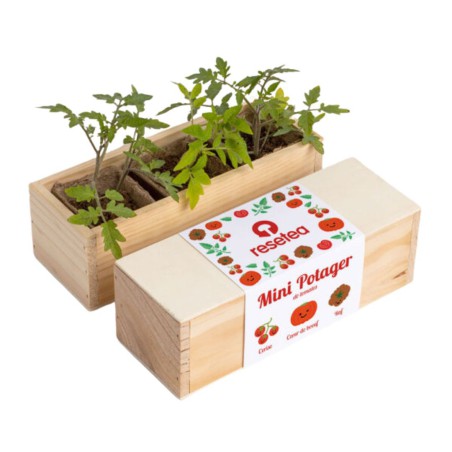 Resetea - Mini potager de tomates