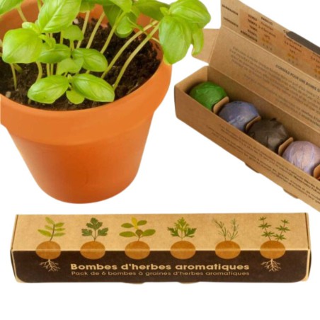Resetea - Pack de 6 bombes d'herbes aromatiques