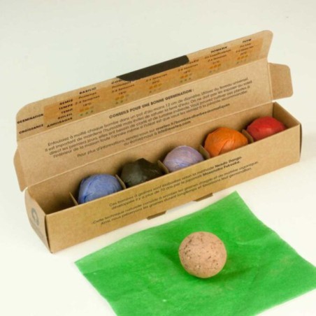 Resetea - Pack de 6 bombes d'herbes aromatiques