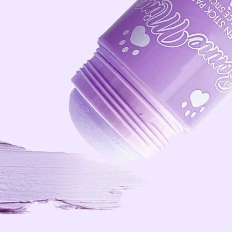 Masque bonne mine en stick