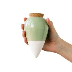 Olla Pépin – Arrosage naturel plantes d’intérieur