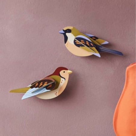 Déco murale - Garden bird Sparrows - Studio Roof