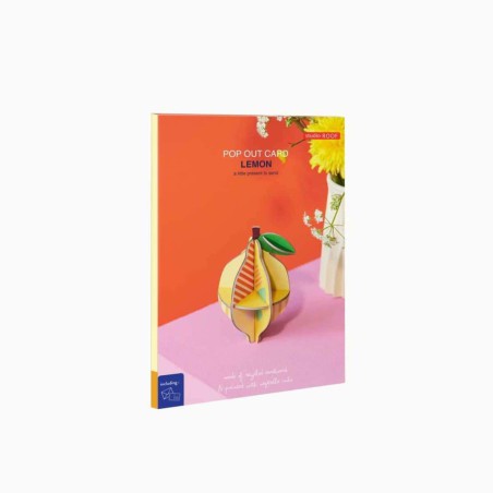 Pop Out Card 3D – Studio ROOF | Carte + déco miniature écologique