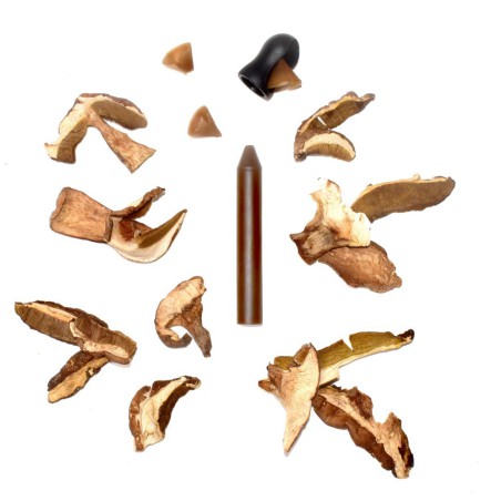 Ocni - Coffret 1 crayon à râper - Cèpe