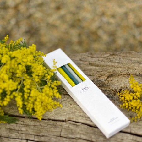 Coffret de 10 bougies fines Mimosa - Maison Péchavy
