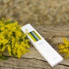 Coffret de 10 bougies fines Mimosa - Maison Péchavy