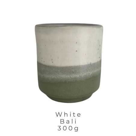 Bougie 300g Maison Évidence – Artisanale, Parfumée et Éthique 