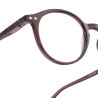 Lunettes de Lecture Pantos Marron Izipizi – Style et Confort