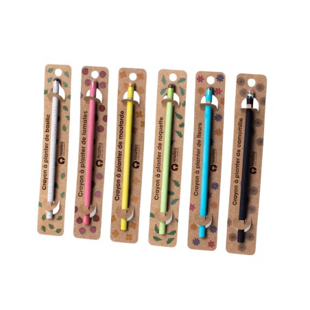 Crayon à Planter Basilic Resetea – Écriture et Jardin