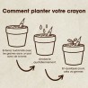 Crayon à Planter Basilic Resetea – Écriture et Jardin