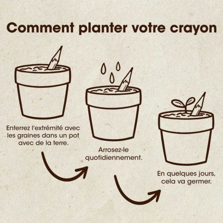 Crayon à Planter Roquette Resetea – Écriture et Jardin