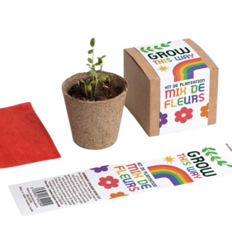 Kit Grow This Way – Autoculture de Fleurs Mélangées Resetea