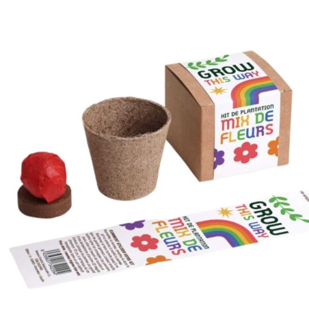 Kit Grow This Way – Autoculture de Fleurs Mélangées Resetea