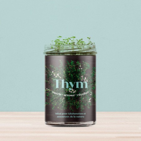 Potager de Cuisine Thym Resetea – Herbes Fraîches Faciles à Cultiver