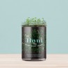 Potager de Cuisine Thym Resetea – Herbes Fraîches Faciles à Cultiver