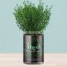 Potager de Cuisine Thym Resetea – Herbes Fraîches Faciles à Cultiver