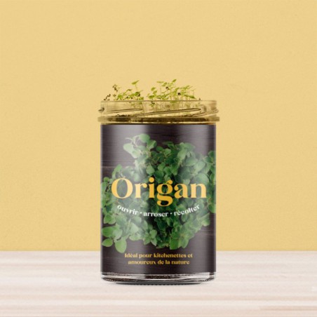 Potager de Cuisine Origan Resetea – Herbes Fraîches Faciles à Cultiver