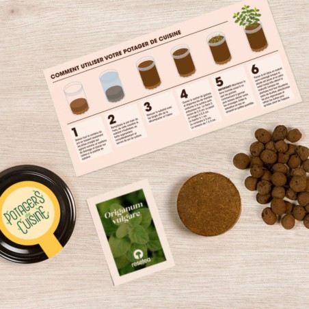 Potager de Cuisine Origan Resetea – Herbes Fraîches Faciles à Cultiver
