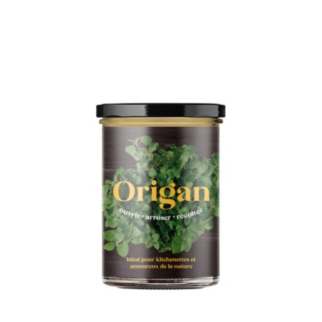 Potager de Cuisine Origan Resetea – Herbes Fraîches Faciles à Cultiver