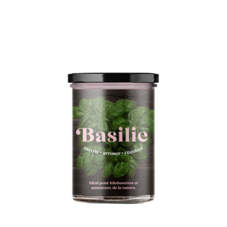 Potager de Cuisine Basilic Resetea – Herbes Fraîches Faciles à Cultiver