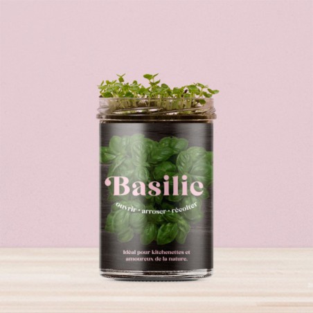 Potager de Cuisine Basilic Resetea – Herbes Fraîches Faciles à Cultiver