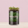 Potager de Cuisine Basilic Resetea – Herbes Fraîches Faciles à Cultiver