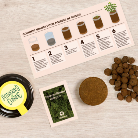 Potager de Cuisine Persil Resetea – Herbes Fraîches Faciles à Cultiver