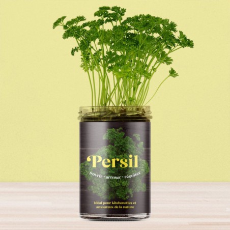 Potager de Cuisine Persil Resetea – Herbes Fraîches Faciles à Cultiver