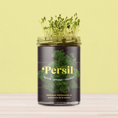 Potager de Cuisine Persil Resetea – Herbes Fraîches Faciles à Cultiver