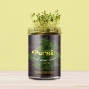 Potager de Cuisine Persil Resetea – Herbes Fraîches Faciles à Cultiver