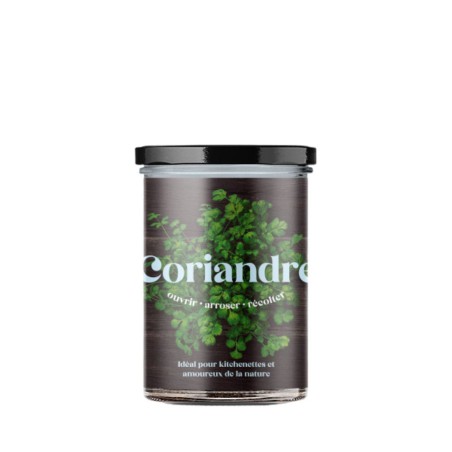 Potager de Cuisine Coriandre Resetea – Herbes Fraîches Faciles à Cultiver