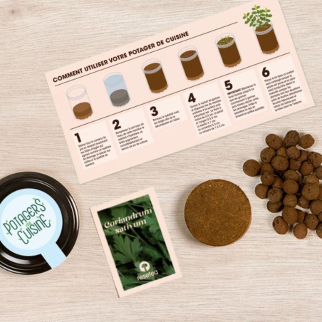 Potager de Cuisine Coriandre Resetea – Herbes Fraîches Faciles à Cultiver