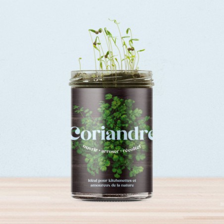Potager de Cuisine Coriandre Resetea – Herbes Fraîches Faciles à Cultiver