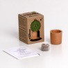 Baby Cactus Resetea – Mini kit facile à cultiver