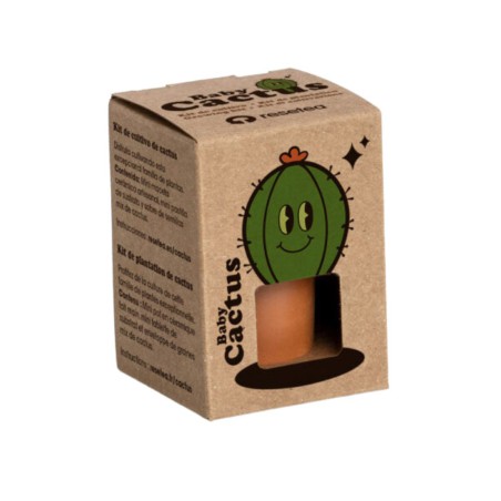 Baby Cactus Resetea – Mini kit facile à cultiver