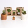 Mr. Cactus Resetea – Petit kit facile à cultiver