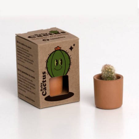 Baby Cactus Resetea – Mini kit facile à cultiver